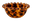 Tortoise