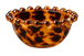 Tortoise